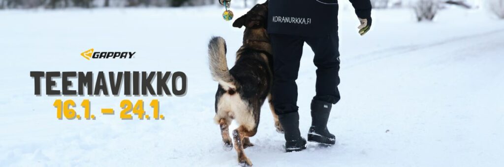 Koiranurkka