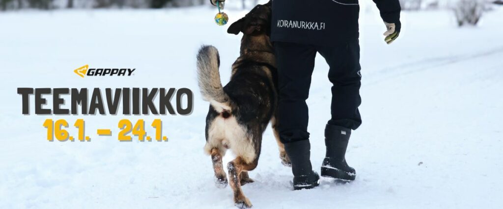 Koiranurkka