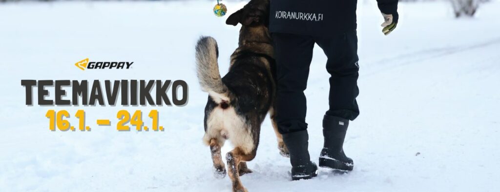 Koiranurkka