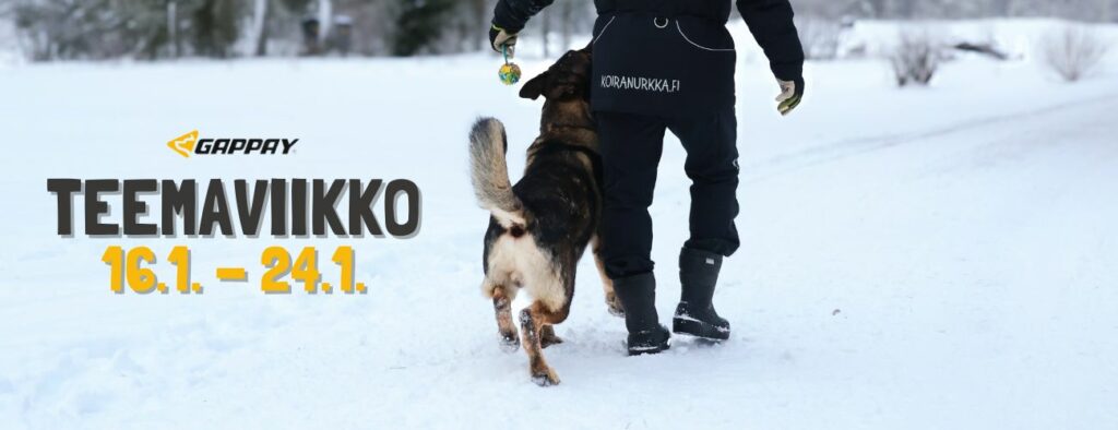 Koiranurkka