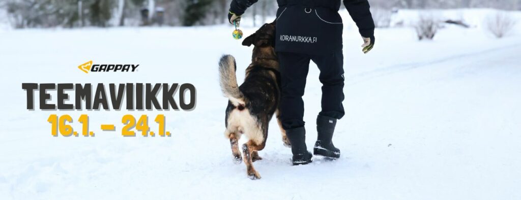 Koiranurkka