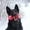 NERF_DOG_Retriever_purulelu__punainen