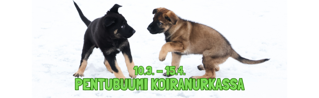 Koiranurkka