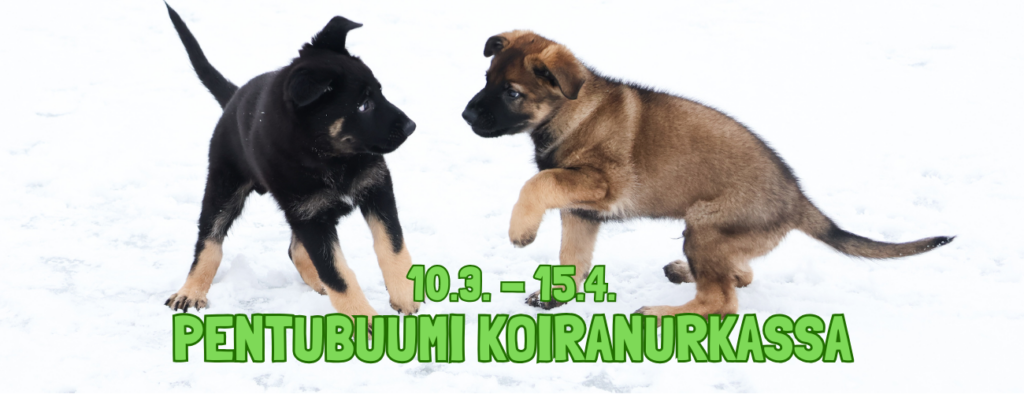 Koiranurkka