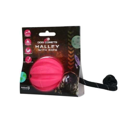 Dog_Comets_Halley_Narupallo_Pinkki