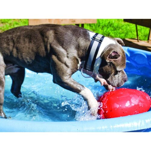 Jolly_Ball_Egg_Punainen_L