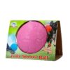 Jolly_Pets_Soccer_Ball_Jalkapallo_Pinkki