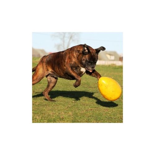 Jolly_Ball_Egg_Keltainen_L