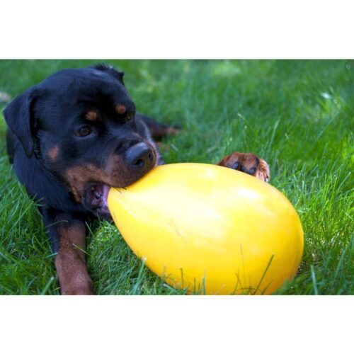 Jolly_Ball_Egg_Keltainen_L