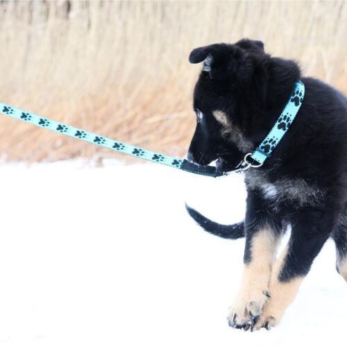 JALEN_Tassupanta_25_40_cm__15_mm