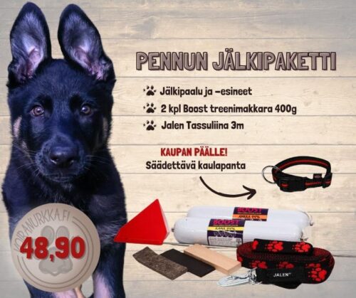 Pennun_jalkipaketti