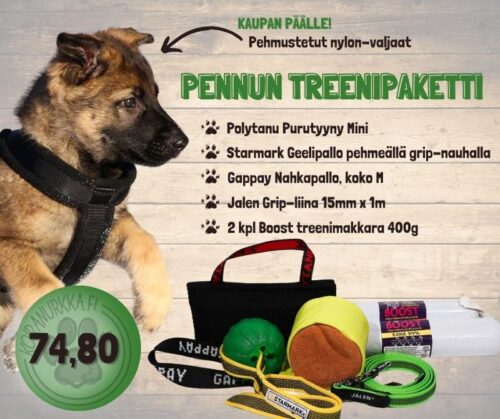 Pennun_treenipaketti