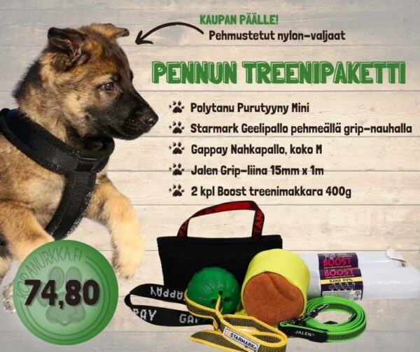 Pennun_treenipaketti