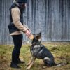 Non_stop_Dogwear_TREENILIIVI__Naisten_malli