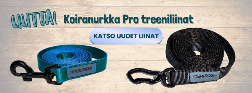 Vahvat nylon treeniliinat koirankoulutukseen - Pro treeniliina koiralle