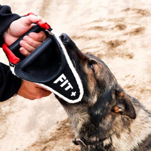 Z_POLYTANU_TUMPPIHIHA_FIT_