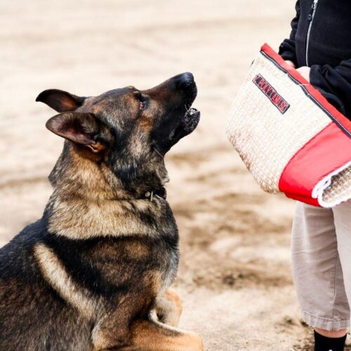 Z_POLYTANU_TUMPPIHIHA_FIT_