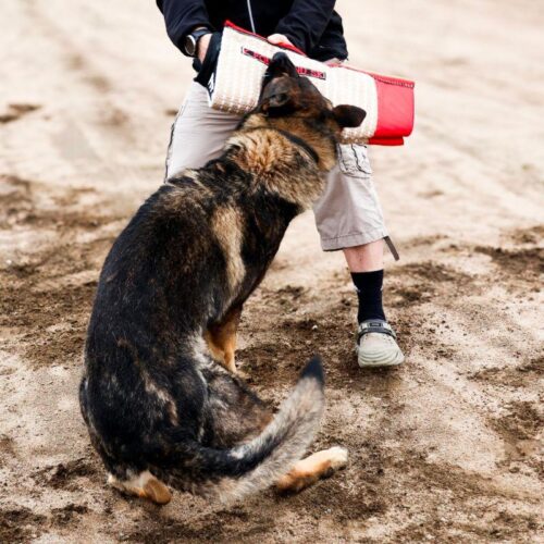 Z_POLYTANU_TUMPPIHIHA_FIT_