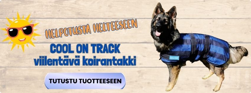 Koiran viilennysloimi