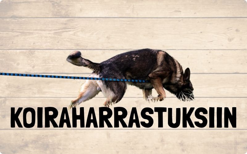 Koiraharrastustarvikkeet