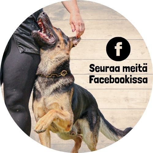 Seuraa meitä Instagramissa (1)