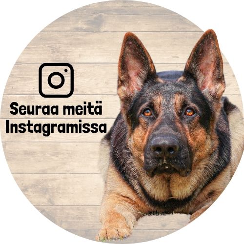 Seuraa meitä Instagramissa