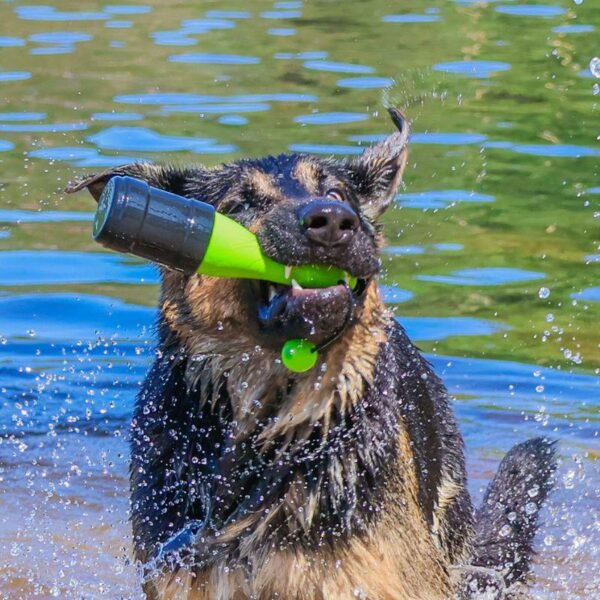 Dog_Comets_Bobber-_Koiran_uimalelu_Vihrea