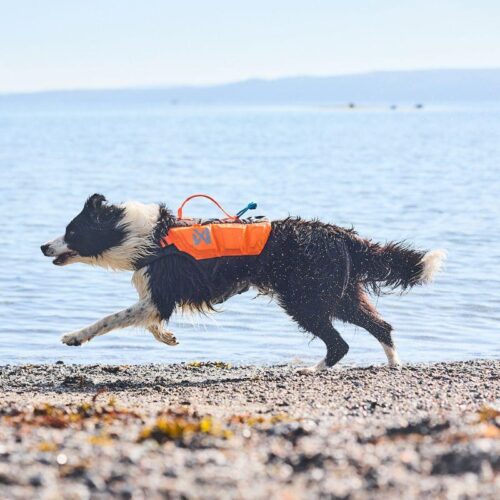 PROTECTOR_LIFE_JACKET__KOIRAN_PELASTUSLIIVIT__Orange