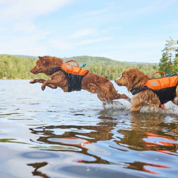 PROTECTOR_LIFE_JACKET__KOIRAN_PELASTUSLIIVIT__Orange