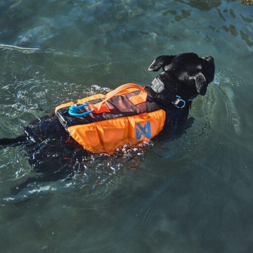 PROTECTOR_LIFE_JACKET__KOIRAN_PELASTUSLIIVIT__Orange