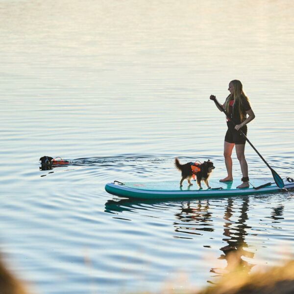 PROTECTOR_LIFE_JACKET__KOIRAN_PELASTUSLIIVIT__Orange
