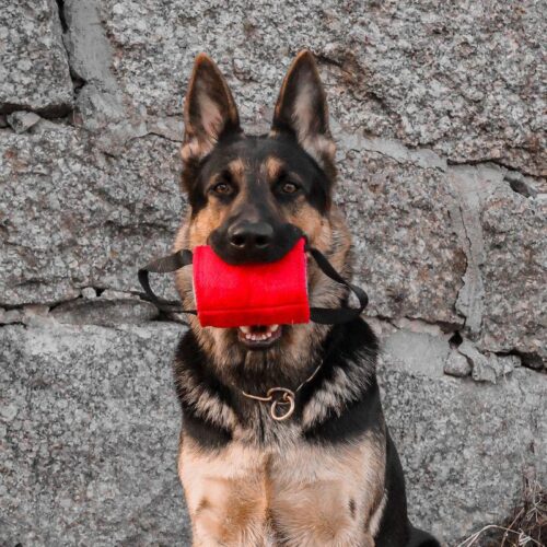 NYLCOT_RULLA__TYNNYRI_