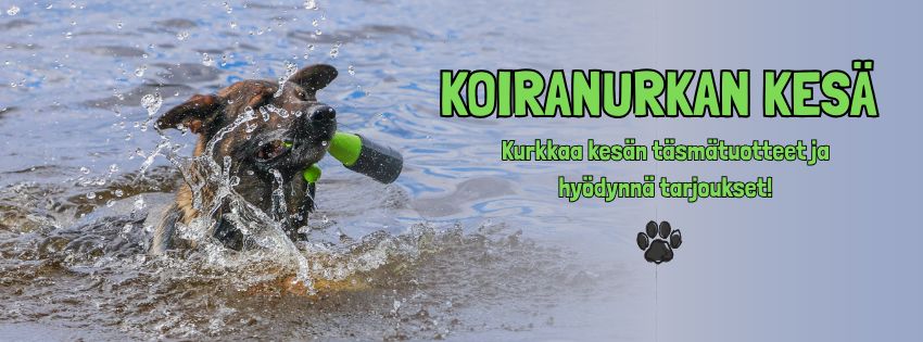 Koiranurkan kesä