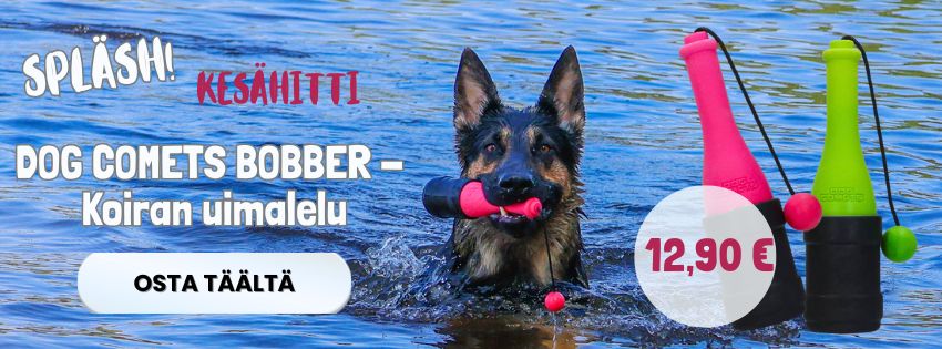 Uimalelut koirille