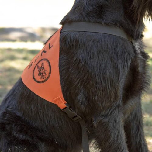 201106_PK_Tunnusvaljaat_2_jpg