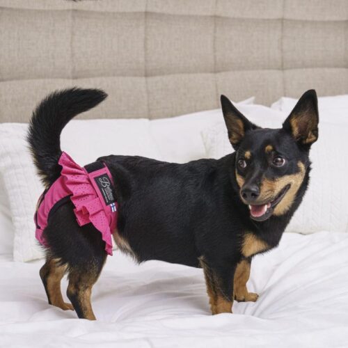 FN410700_FINNERO_Ballerina_Lace_narttusuoja_koiralle_8_jpg