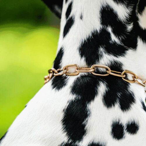 5154100067_HS_Ketjupanta_keskipitkalenkki_CUROGAN_3mm_2_jpg