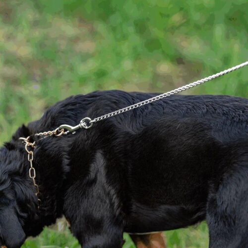 5240308002_HS_Ketjujatko_talutushihnaan_2_jpg