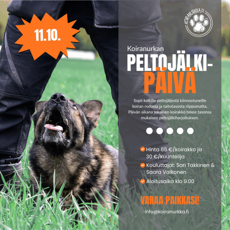 Peltojälkipäivä kaiken tasoisille koirakoille Ristiinassa