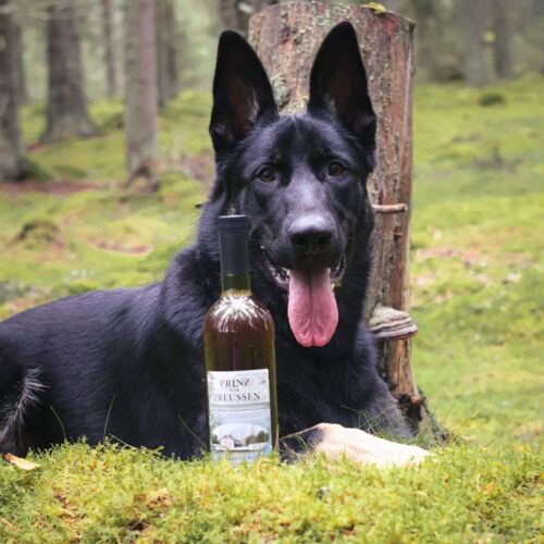 NF100_PVP_etikka_1000ml_MUOVIPULLOSSA_2_jpg