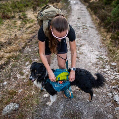 Trail_quest_dog_backpack_-_koiran_reppu__teal