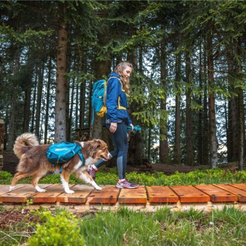 Trail_quest_dog_backpack_-_koiran_reppu__teal