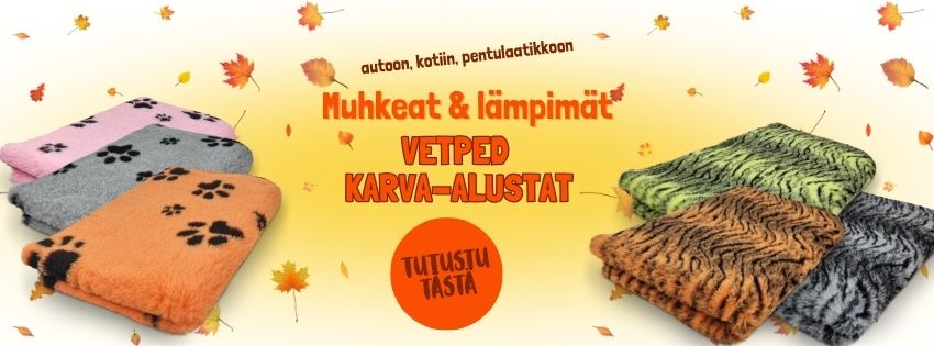 Koiranurkka