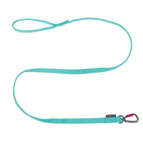 Bungee_leash_PRO_aqua-_vetonaru__2m