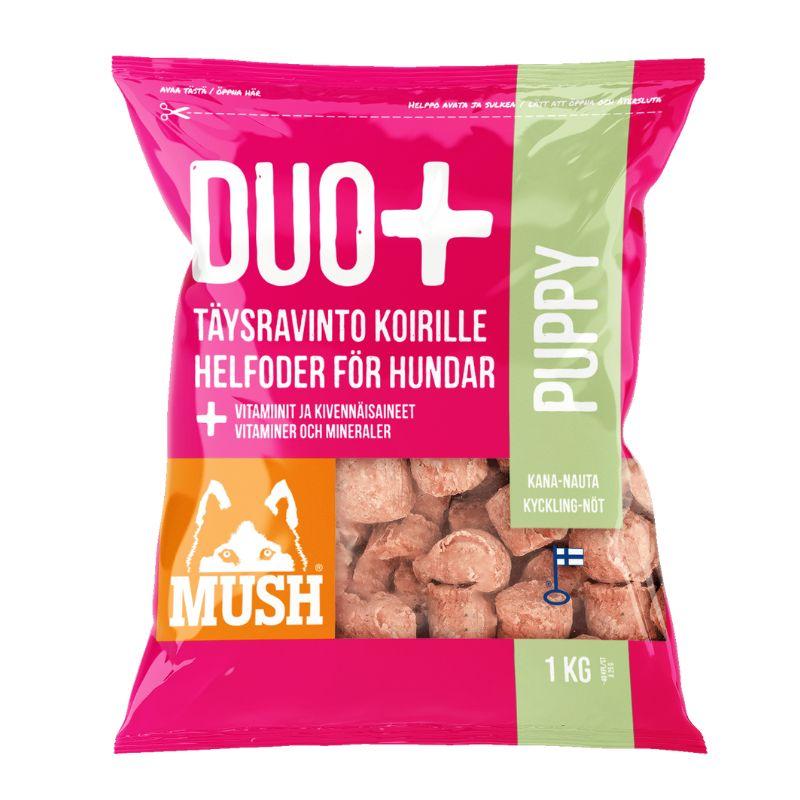 Duo__puppy_penturuoka