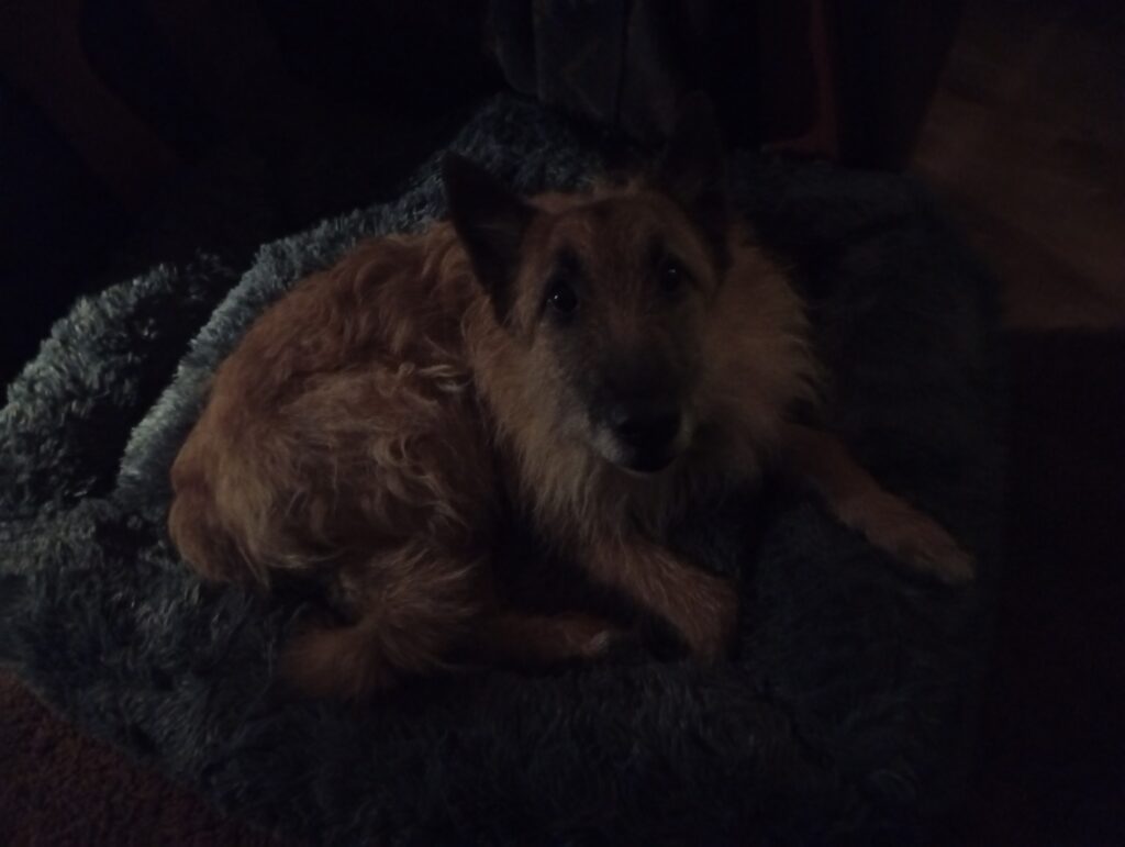 Image #1 from Nimetön