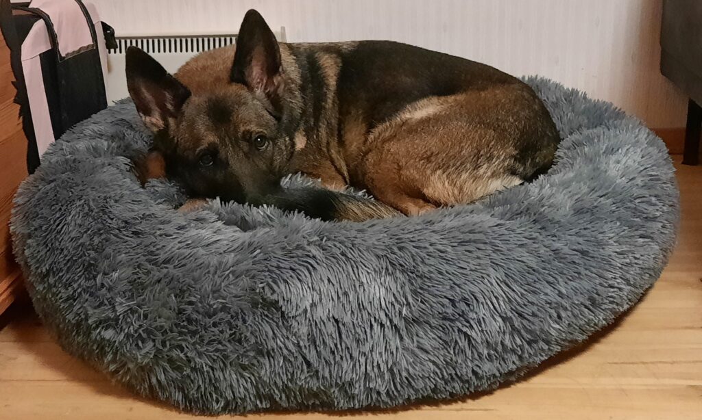 Image #1 from Katja H.