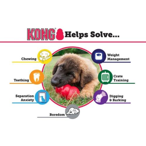 634_6152_KONG_puppy_S_1_jpg
