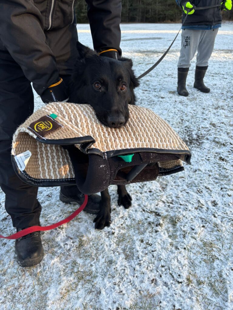 Image #1 from Teemu Liukkonen