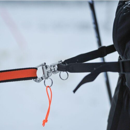 NS12501_LOYPE_BELT_Pro_Vetovyo_3_jpg